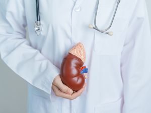 Shutterstock kidney transplant