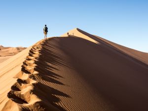Big Daddy Dune in Namib Desert