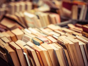Shutterstock Book Fair