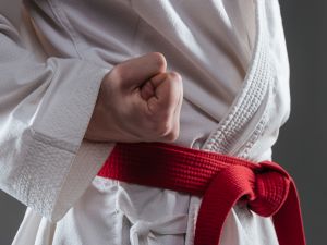 Shutterstock martial arts