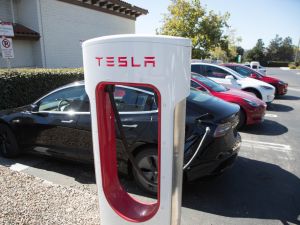 Shutterstock Tesla