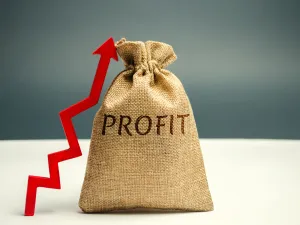 Difference Between Profit and Revenue