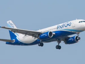 flight 