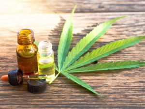 Cannabis 