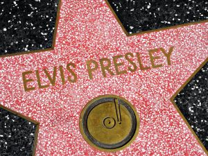 Elvis 
