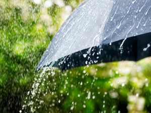 تفسير حلم المطر الغزير في النهار للعزباء وللمتزوجة وللمطلقة
