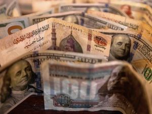سعر الدولار اليوم في مصر