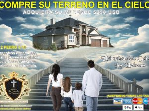 Advertisement of the "spots in heaven" sold by the Mecixo church. (Facebook page of the Church) 