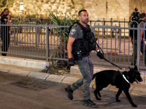 Israeli