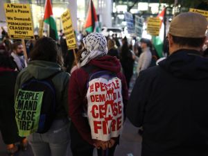 Pro-Palestinian activists