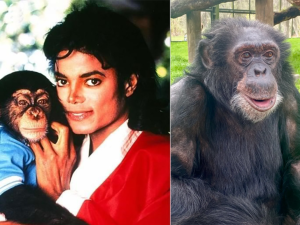 Michael Jackson