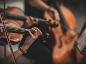 violinist 