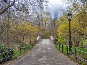 park