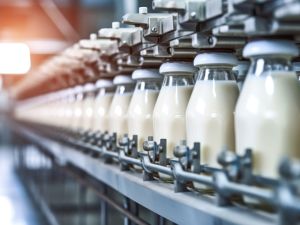 milk 