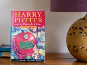 Harry Potter