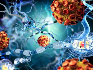 Rare flesh-eating bacteria spread in Japan, 977 cases reported 