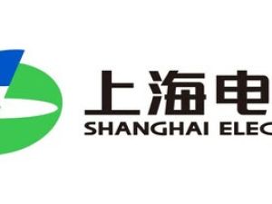 Leading the Way to a Greener Future: Shanghai Electric Unveils Advanced Renewable Energy Solutions at Carbon Neutrality Expo