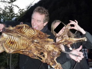 RFK Jr.