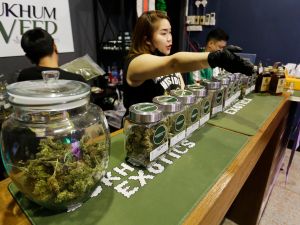 Thai Cannabis activists go on hunger strike as government set to recriminalize the recreational industry