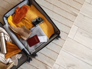 Travel Bag