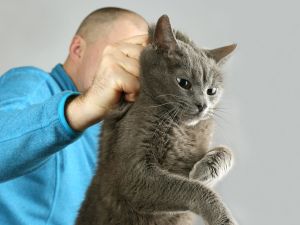 Egyptian man Abu Noah, who was nicknamed "cat slaughterer."