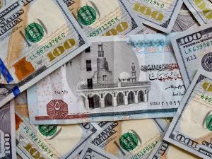 سعر الدولار اليوم في مصر