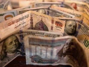 سعر الدولار اليوم في مصر