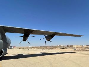 Ain al-Assad airbase