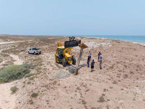EPAA roll out artificial nests project for ospreys in Sharjah