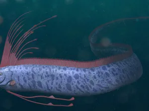 Doomsday fish