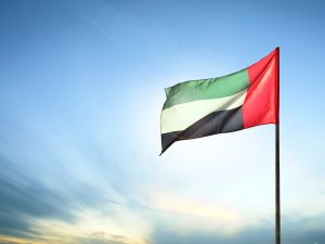 UAE: artificial intelligence jobs are the most in-demand in the market