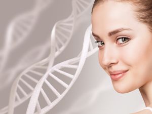 إبرة السلمون