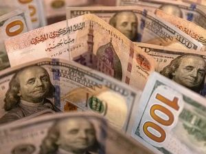 سعر الدولار اليوم في مصر