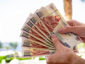 سعر الدولار اليوم في مصر