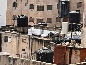 جنود الاحتلال يعدمون أحد المصابين على سطح أحد المنازل في قباطية