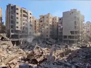 الضاحية