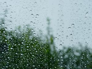 عبارات جميلة عن نزول المطر