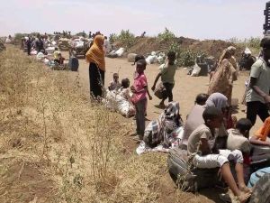 السودان - إبادة جماعية ولاية الجزيرة