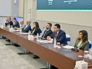 Experts will discuss the vision and actions needed to realise such potential including the kinds of diversification, industrial and climate-related policies, and incentives that need to be created.