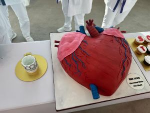 كليفلاند كلينك أبوظبي ينفذ 500 إجراء لزراعة الصمام الأبهري عبر القسطرة مرسخاً ريادته في رعاية أمراض القلب في دولة الإمارات
