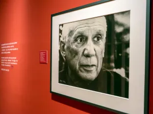 Picasso