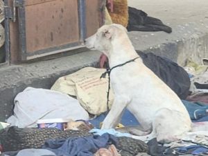السيدة كانت تقيم في مكان مهجور حيث تقوم باصطياد الحيوانات وتناول لحومها