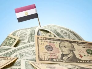 سعر الدولار اليوم في مصر