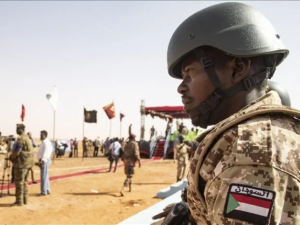 الجيش السوداني - سيطرة