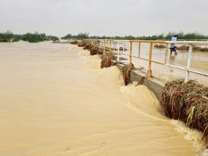 سيول / أرشيفية