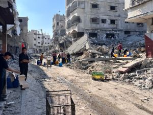 التواصل مع عائلات وعشائر فلسطينية من غزة في مصر لتولي حماية عمل اللجنة
