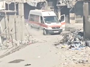 كمال عدوان