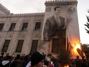 الاسد