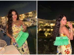 Haifa Wehbe