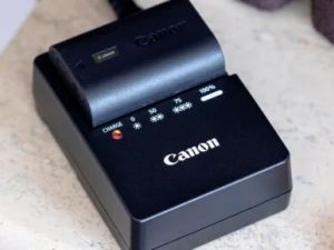 Canon and Amazon win default judgment in the U.S. against counterfeiters of camera accessories